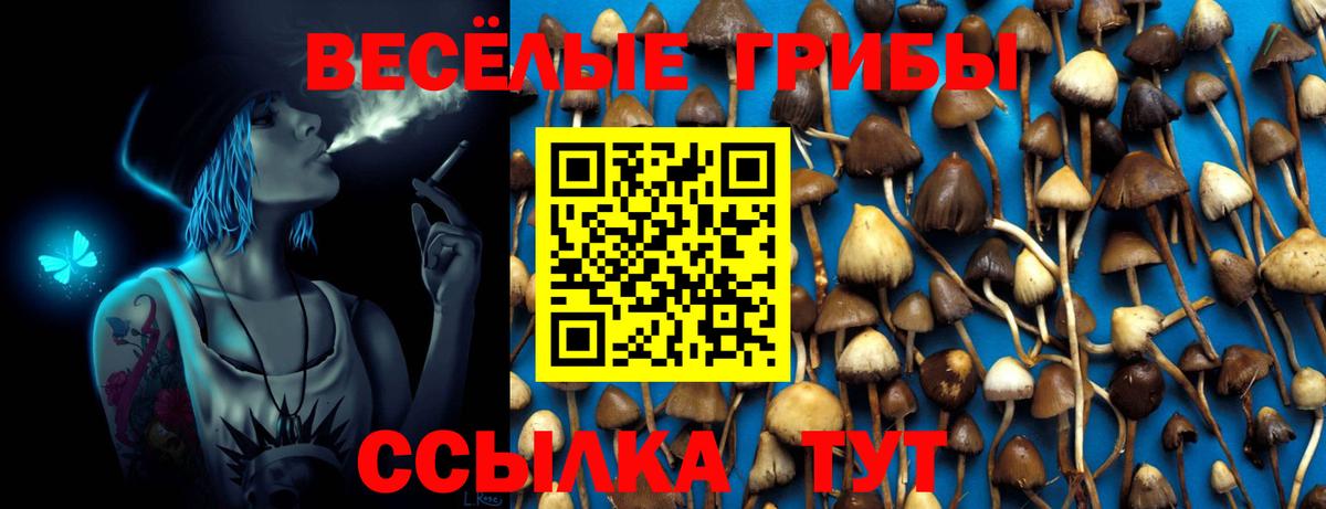 Ачинск  Галлюциногенные грибы мицелий  Вход с VPN 